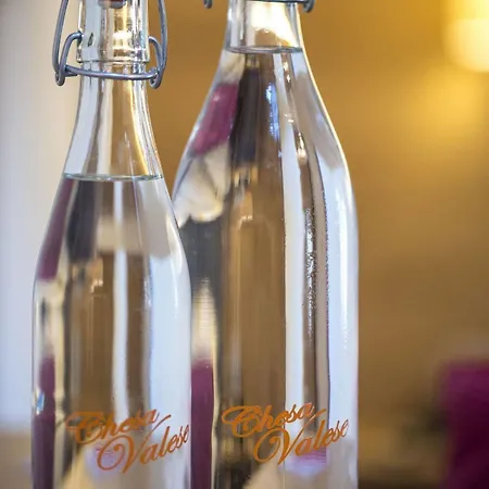 酒店 Chesa Valese By Sisters 4*